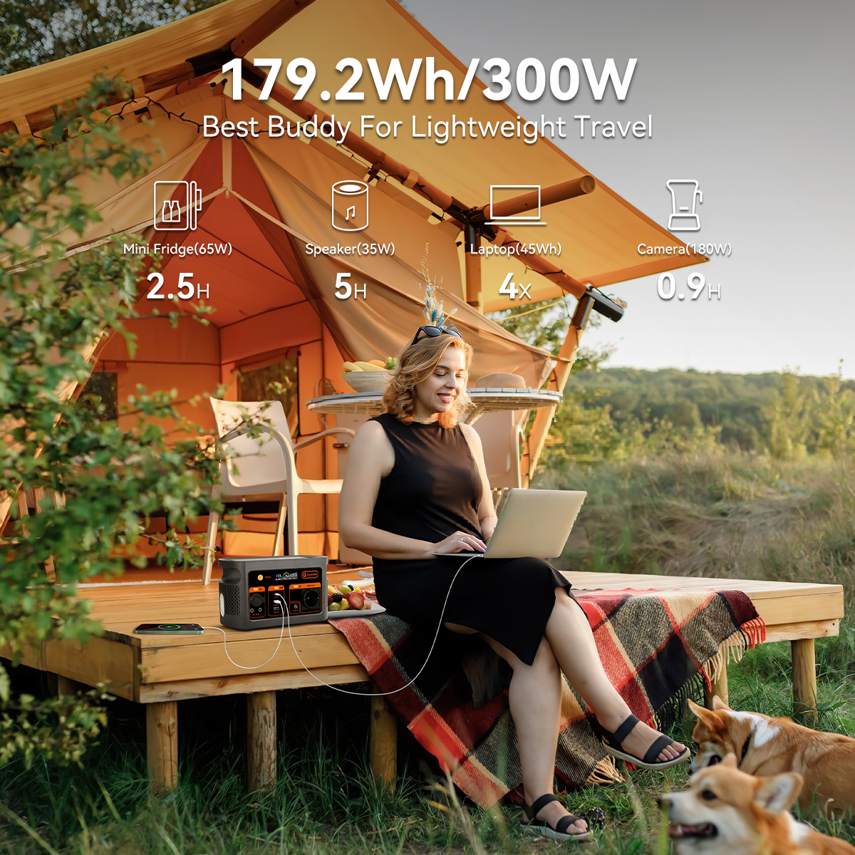 300W pure sine wave solar gene - đánh giá và giá Outdoor Power Generator